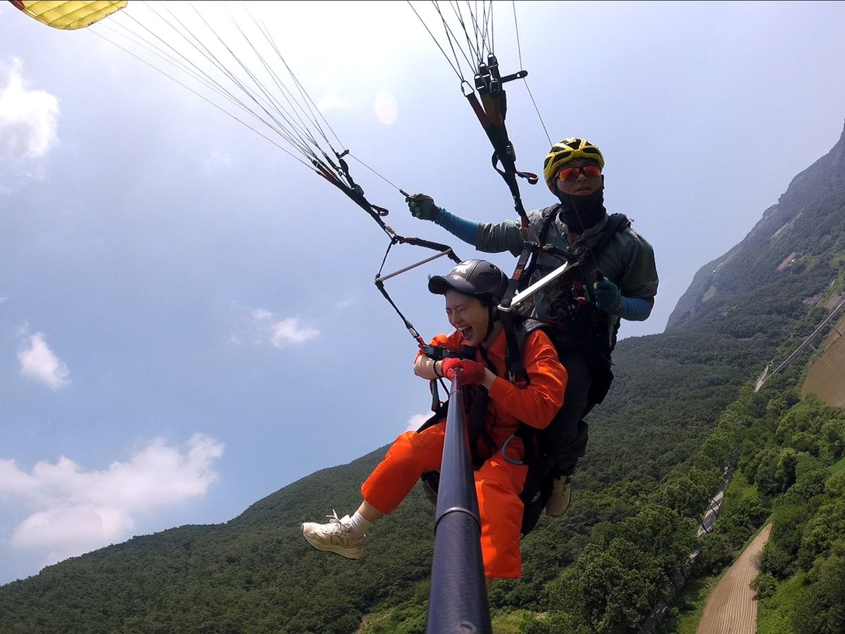 Art Flight