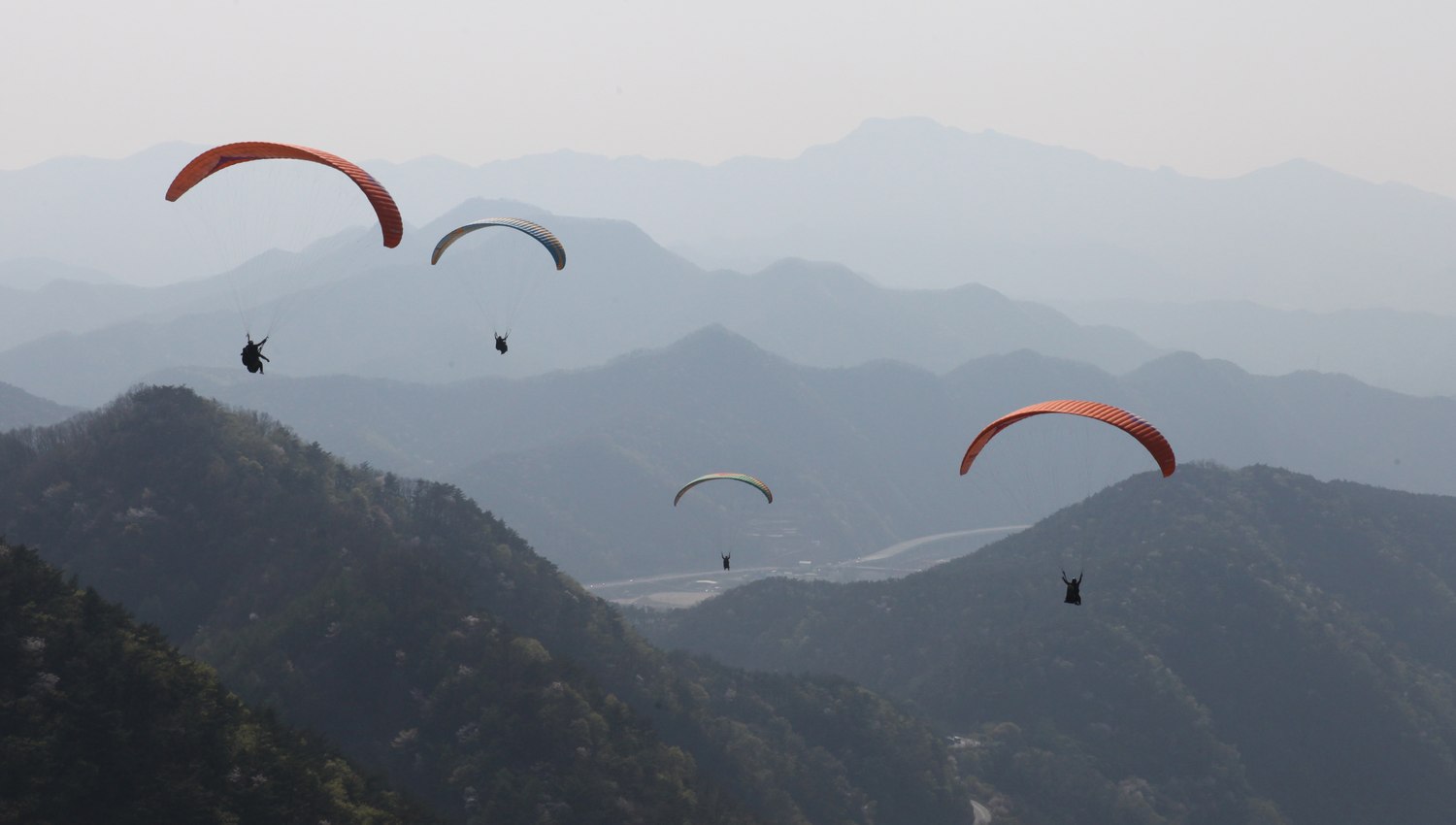 A glider along the ridge